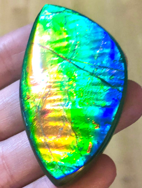 Extra Large Rainbow colors  57x31 mm  Top Grade Natural  Free Form . FFNT 143 Ammolite  レインボーカラー！ナチュラル　ルース　アンモライト