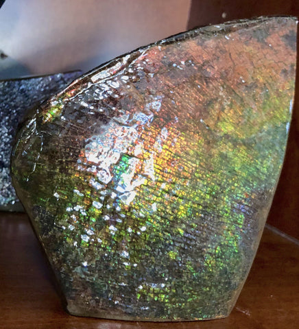 8" Double-Sided Ammolite Display Stone  Huge Fossil Section Piece 205mm 8" Collector Stone Home Décor  - CS-222***アンモライト 大型両面　コレクターストーン Free shipping