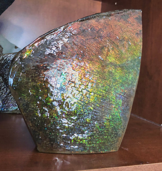 8" Double-Sided Ammolite Display Stone  Huge Fossil Section Piece 205mm 8" Collector Stone Home Décor  - CS-222***アンモライト 大型両面　コレクターストーン Free shipping