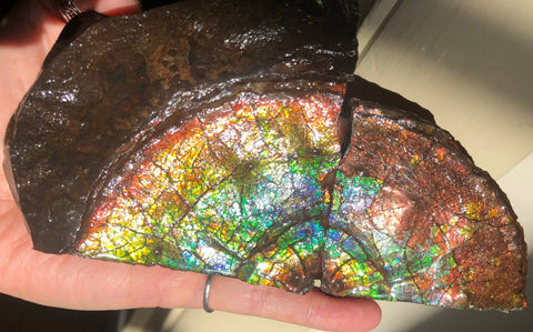 Make an offer!! or buy it now!  RARE Intercalare! CS-227  Stunning Ammolite Intercalare with stunning Matrix, Collector Stones Home Décor ***アンモライト Free shipping
