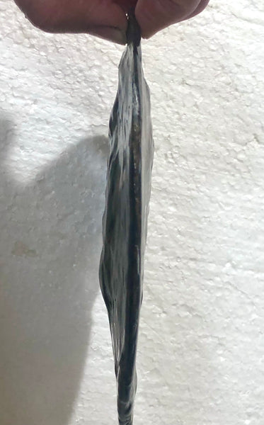 5.78" Ammolite Placenticeras Intercalare ***Free Shipping***  AF-78  Ammolite  Ammonite Fossil