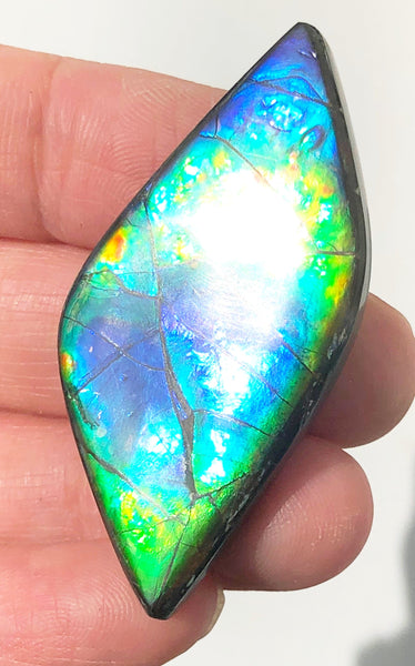 47 x 22x 5 mm  Natural  Free Form . FFNT 127 Super blue with floral pattern! Ammolite  ナチュラル　ルース　アンモライト フリーフォーム