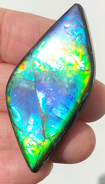 47 x 22x 5 mm  Natural  Free Form . FFNT 127 Super blue with floral pattern! Ammolite  ナチュラル　ルース　アンモライト フリーフォーム
