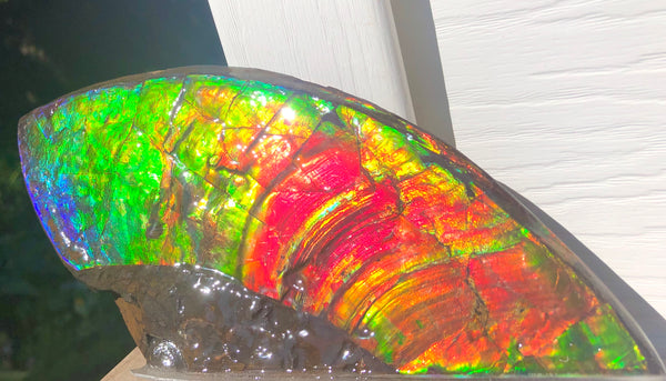 AAA DOUBLE-SIDED 220 x100mmx17m Collector Stone - CS-198  ***FREE SHIPPING****アンモライト　コレクターストーン