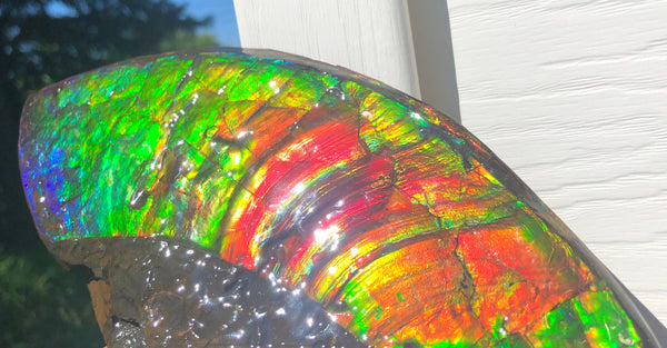 AAA DOUBLE-SIDED 220 x100mmx17m Collector Stone - CS-198  ***FREE SHIPPING****アンモライト　コレクターストーン