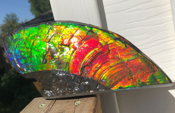 AAA DOUBLE-SIDED 220 x100mmx17m Collector Stone - CS-198  ***FREE SHIPPING****アンモライト　コレクターストーン