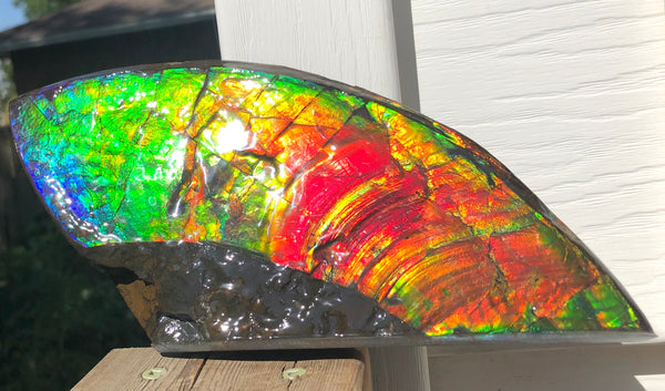 AAA DOUBLE-SIDED 220 x100mmx17m Collector Stone - CS-198  ***FREE SHIPPING****アンモライト　コレクターストーン