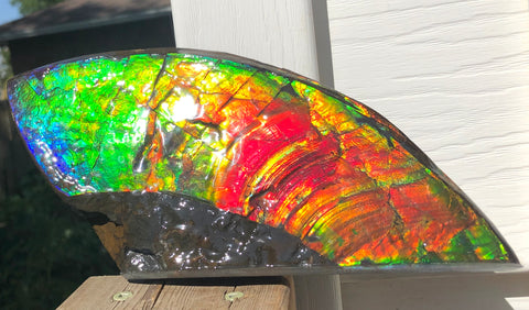 AAA DOUBLE-SIDED 220 x100mmx17m Collector Stone - CS-198  ***FREE SHIPPING****アンモライト　コレクターストーン