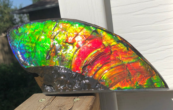 AAA DOUBLE-SIDED 220 x100mmx17m Collector Stone - CS-198  ***FREE SHIPPING****アンモライト　コレクターストーン