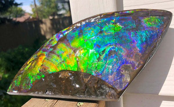 AAA DOUBLE-SIDED 220 x100mmx17m Collector Stone - CS-198  ***FREE SHIPPING****アンモライト　コレクターストーン