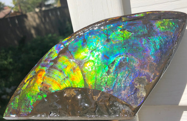 AAA DOUBLE-SIDED 220 x100mmx17m Collector Stone - CS-198  ***FREE SHIPPING****アンモライト　コレクターストーン