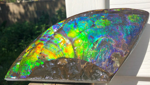 AAA DOUBLE-SIDED 220 x100mmx17m Collector Stone - CS-198  ***FREE SHIPPING****アンモライト　コレクターストーン