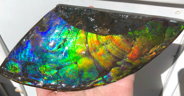 AAA DOUBLE-SIDED 220 x100mmx17m Collector Stone - CS-198  ***FREE SHIPPING****アンモライト　コレクターストーン