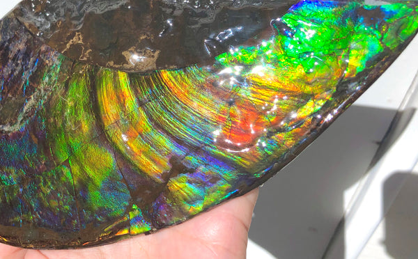 AAA DOUBLE-SIDED 220 x100mmx17m Collector Stone - CS-198  ***FREE SHIPPING****アンモライト　コレクターストーン