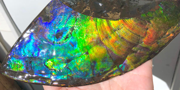 AAA DOUBLE-SIDED 220 x100mmx17m Collector Stone - CS-198  ***FREE SHIPPING****アンモライト　コレクターストーン