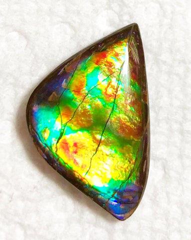 23x 14 mm Floral Pattern Gorgeous colors! Natural  Free Form . FFNT 126 Super bright  ナチュラル　ルース　アンモライト フリーフォーム