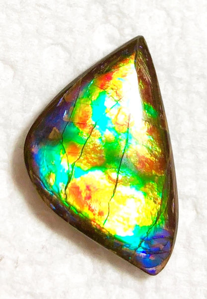 23x 14 mm Floral Pattern Gorgeous colors! Natural  Free Form . FFNT 126 Super bright  ナチュラル　ルース　アンモライト フリーフォーム