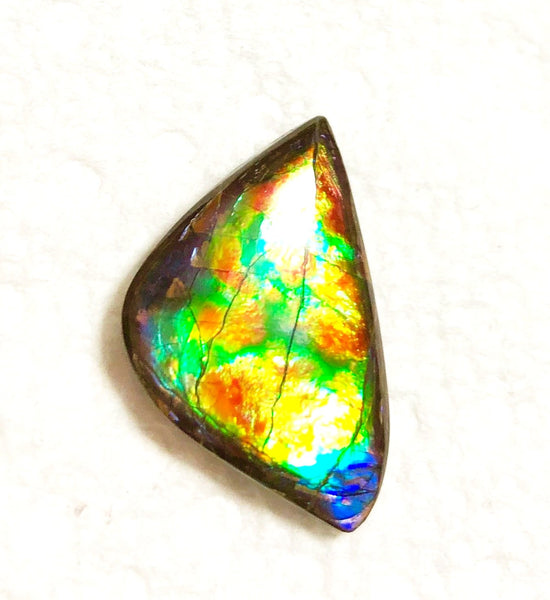 23x 14 mm Floral Pattern Gorgeous colors! Natural  Free Form . FFNT 126 Super bright  ナチュラル　ルース　アンモライト フリーフォーム