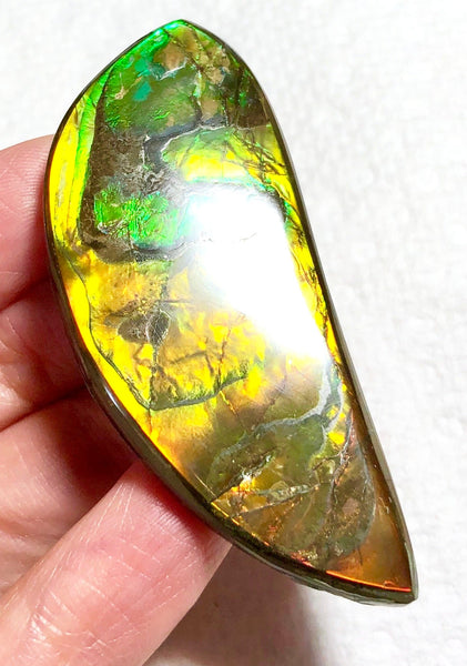 58x23x5.5mm    Natural  Free Form . FFN366  Ammolite  ナチュラル　ルース　アンモライト フリーフォーム