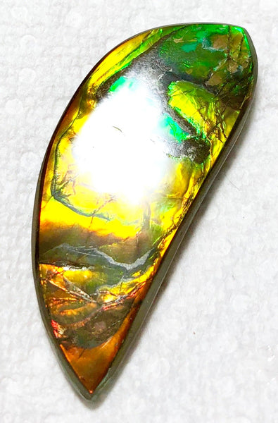 58x23x5.5mm    Natural  Free Form . FFN366  Ammolite  ナチュラル　ルース　アンモライト フリーフォーム
