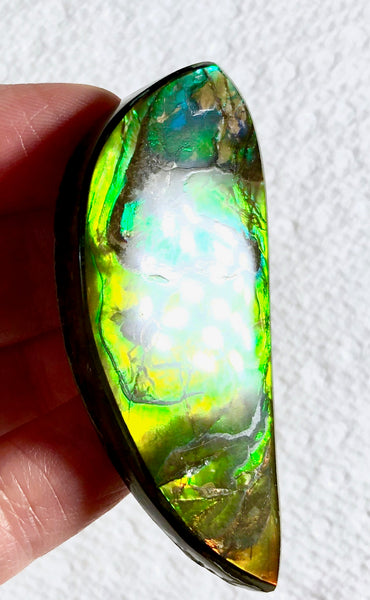 58x23x5.5mm    Natural  Free Form . FFN366  Ammolite  ナチュラル　ルース　アンモライト フリーフォーム