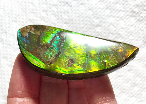 58x23x5.5mm    Natural  Free Form . FFN366  Ammolite  ナチュラル　ルース　アンモライト フリーフォーム