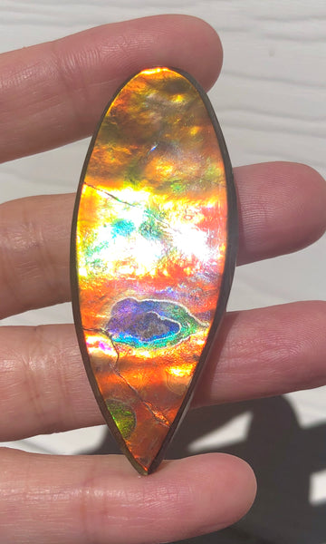 TOP grade 59.5x22.5 mm LARGE 　Rainbow Lake Pattern! Super Beauty! Natural  Free Form . FFNT 151 Ammolite  ナチュラル　ルース　アンモライト