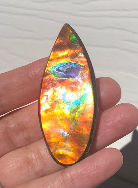 TOP grade 59.5x22.5 mm LARGE 　Rainbow Lake Pattern! Super Beauty! Natural  Free Form . FFNT 151 Ammolite  ナチュラル　ルース　アンモライト