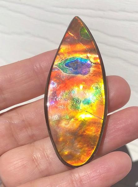 TOP grade 59.5x22.5 mm LARGE 　Rainbow Lake Pattern! Super Beauty! Natural  Free Form . FFNT 151 Ammolite  ナチュラル　ルース　アンモライト