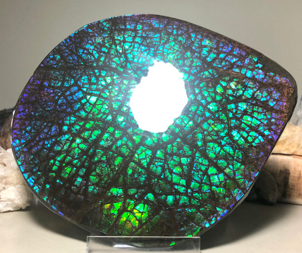 173 x145mmx18m HUGE Collector Stone Specimen- CS-197  ***FREE SHIPPING****アンモライト　コレクターストーン