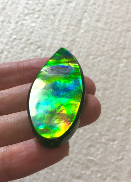 TOP grade 59.5x22.5 mm LARGE 　Rainbow Lake Pattern! Super Beauty! Natural  Free Form . FFNT 151 Ammolite  ナチュラル　ルース　アンモライト