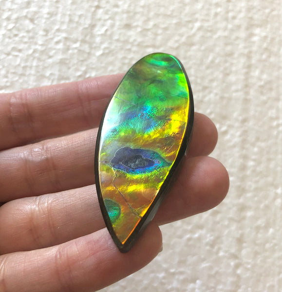 TOP grade 59.5x22.5 mm LARGE 　Rainbow Lake Pattern! Super Beauty! Natural  Free Form . FFNT 151 Ammolite  ナチュラル　ルース　アンモライト