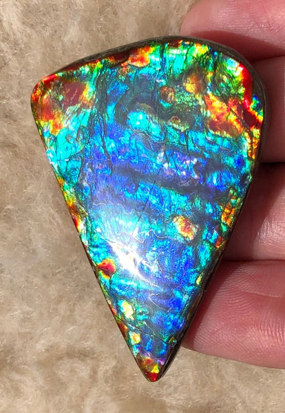 46 x23x5㎜  Natural  Free Form . FFNT 136 Ammolite  BEAUTY ナチュラル　ルース　アンモライト フリーフォーム