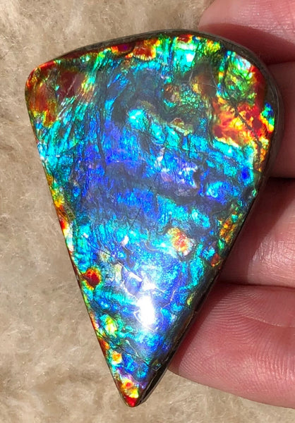 46 x23x5㎜  Natural  Free Form . FFNT 136 Ammolite  BEAUTY ナチュラル　ルース　アンモライト フリーフォーム