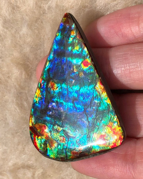 46 x23x5㎜  Natural  Free Form . FFNT 136 Ammolite  BEAUTY ナチュラル　ルース　アンモライト フリーフォーム