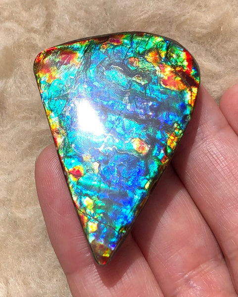 46 x23x5㎜  Natural  Free Form . FFNT 136 Ammolite  BEAUTY ナチュラル　ルース　アンモライト フリーフォーム