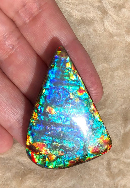 46 x23x5㎜  Natural  Free Form . FFNT 136 Ammolite  BEAUTY ナチュラル　ルース　アンモライト フリーフォーム