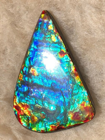 46 x23x5㎜  Natural  Free Form . FFNT 136 Ammolite  BEAUTY ナチュラル　ルース　アンモライト フリーフォーム