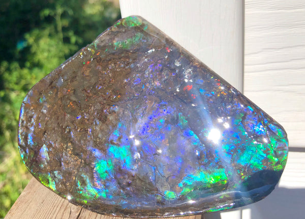 4.9" XXL Double-Sided Collector Stone Specimen- CS-199  ***FREE SHIPPING****アンモライト　コレクターストーン