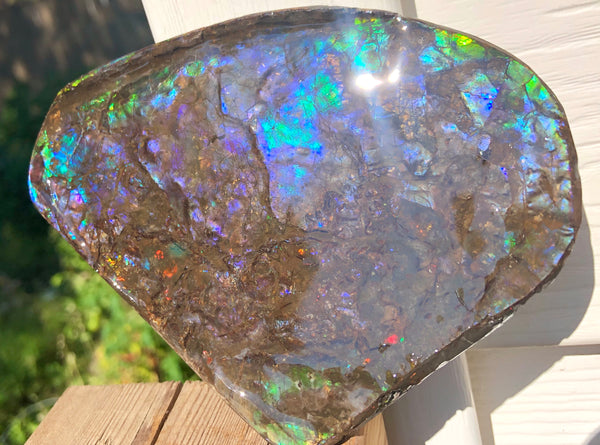 4.9" XXL Double-Sided Collector Stone Specimen- CS-199  ***FREE SHIPPING****アンモライト　コレクターストーン