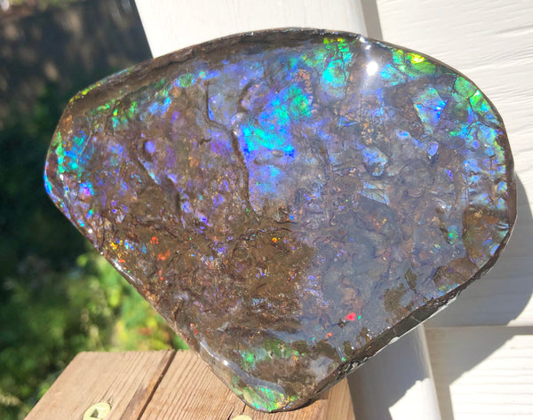 4.9" XXL Double-Sided Collector Stone Specimen- CS-199  ***FREE SHIPPING****アンモライト　コレクターストーン