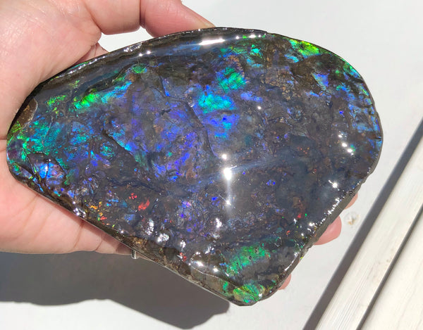 4.9" XXL Double-Sided Collector Stone Specimen- CS-199  ***FREE SHIPPING****アンモライト　コレクターストーン