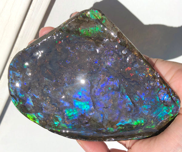 4.9" XXL Double-Sided Collector Stone Specimen- CS-199  ***FREE SHIPPING****アンモライト　コレクターストーン