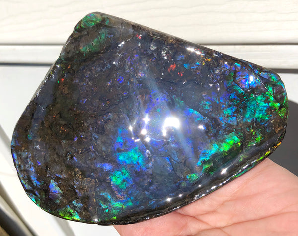 4.9" XXL Double-Sided Collector Stone Specimen- CS-199  ***FREE SHIPPING****アンモライト　コレクターストーン