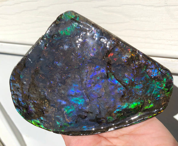 4.9" XXL Double-Sided Collector Stone Specimen- CS-199  ***FREE SHIPPING****アンモライト　コレクターストーン