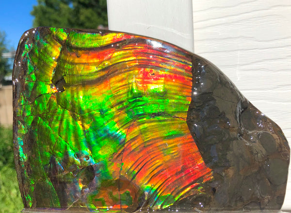 AAA DOUBLE-SIDED 196 x128mmx17m Collector Stone - CS-200  ***FREE SHIPPING****アンモライト　コレクターストーン