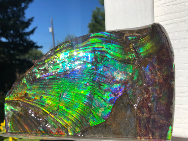 AAA DOUBLE-SIDED 196 x128mmx17m Collector Stone - CS-200  ***FREE SHIPPING****アンモライト　コレクターストーン