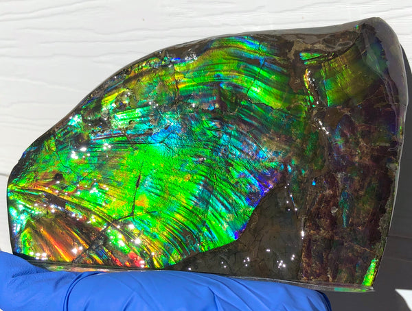 AAA DOUBLE-SIDED 196 x128mmx17m Collector Stone - CS-200  ***FREE SHIPPING****アンモライト　コレクターストーン