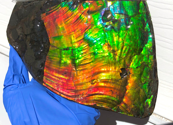 AAA DOUBLE-SIDED 196 x128mmx17m Collector Stone - CS-200  ***FREE SHIPPING****アンモライト　コレクターストーン