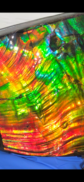 AAA DOUBLE-SIDED 196 x128mmx17m Collector Stone - CS-200  ***FREE SHIPPING****アンモライト　コレクターストーン